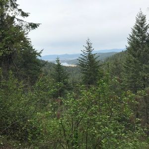 Meet your Posher, Colton